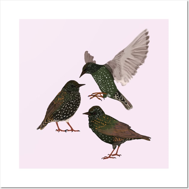 Starlings Wall Art by ahadden